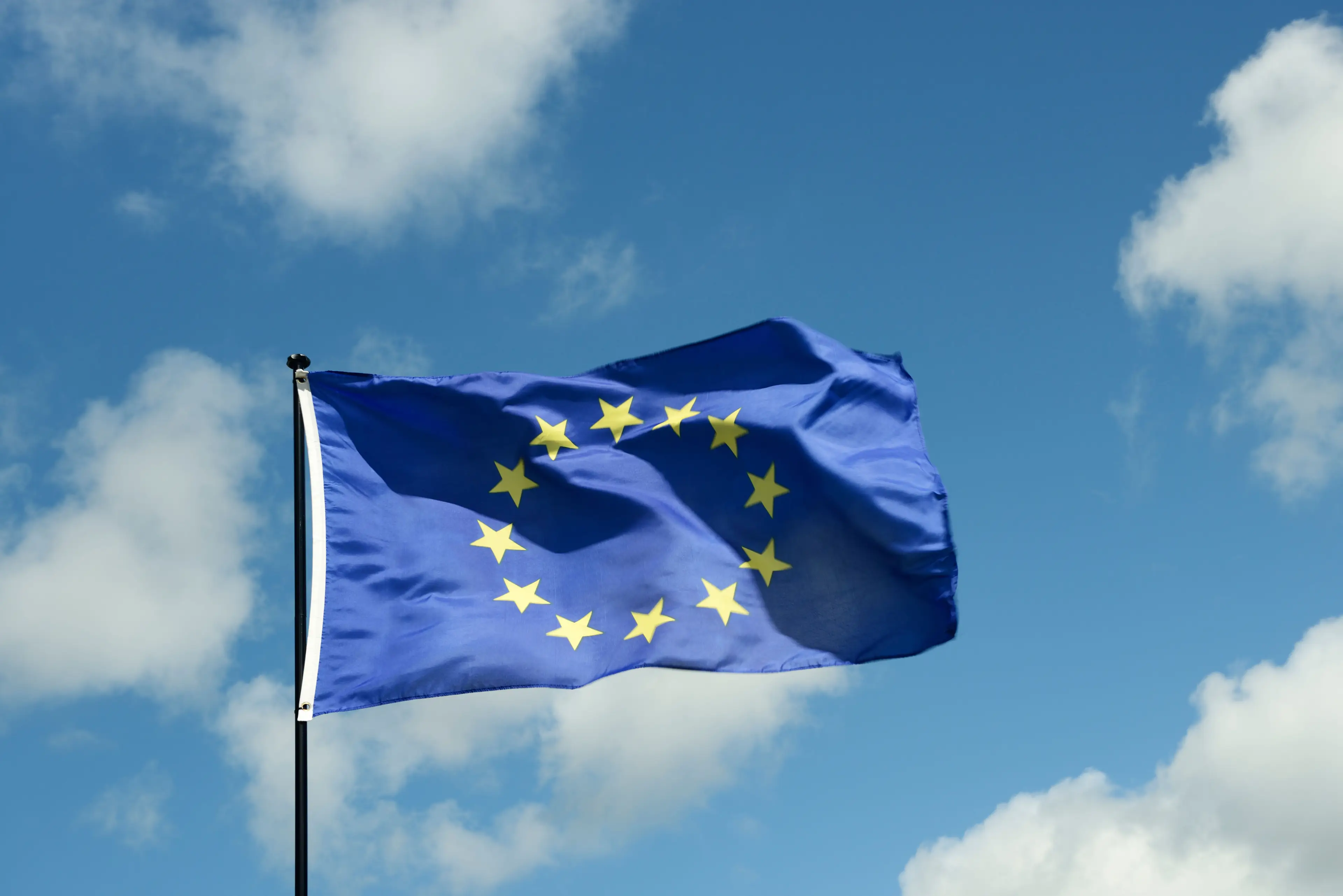The European flag.