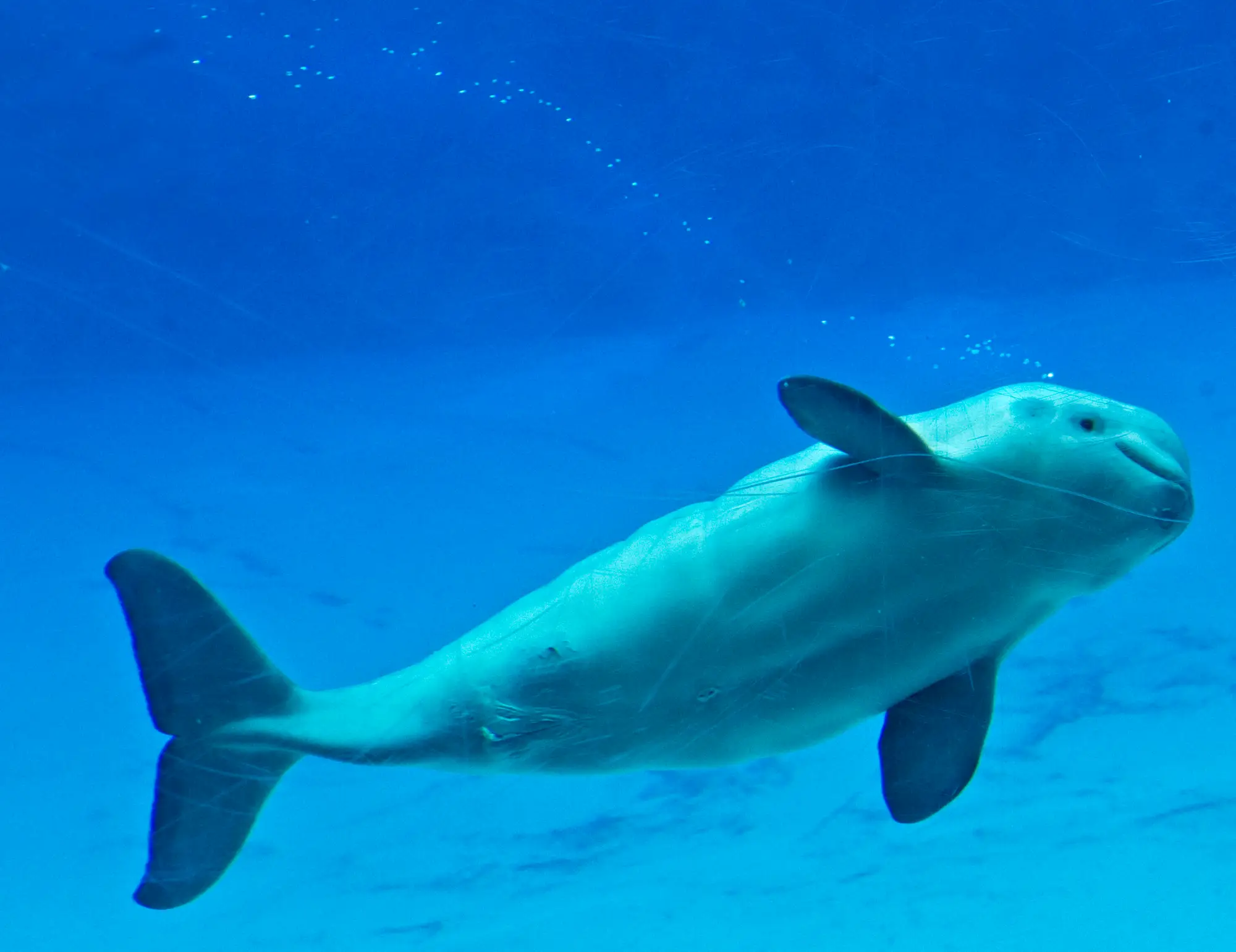 Marineland has come under fire (Tara Walton/Toronto Star via Getty Images)