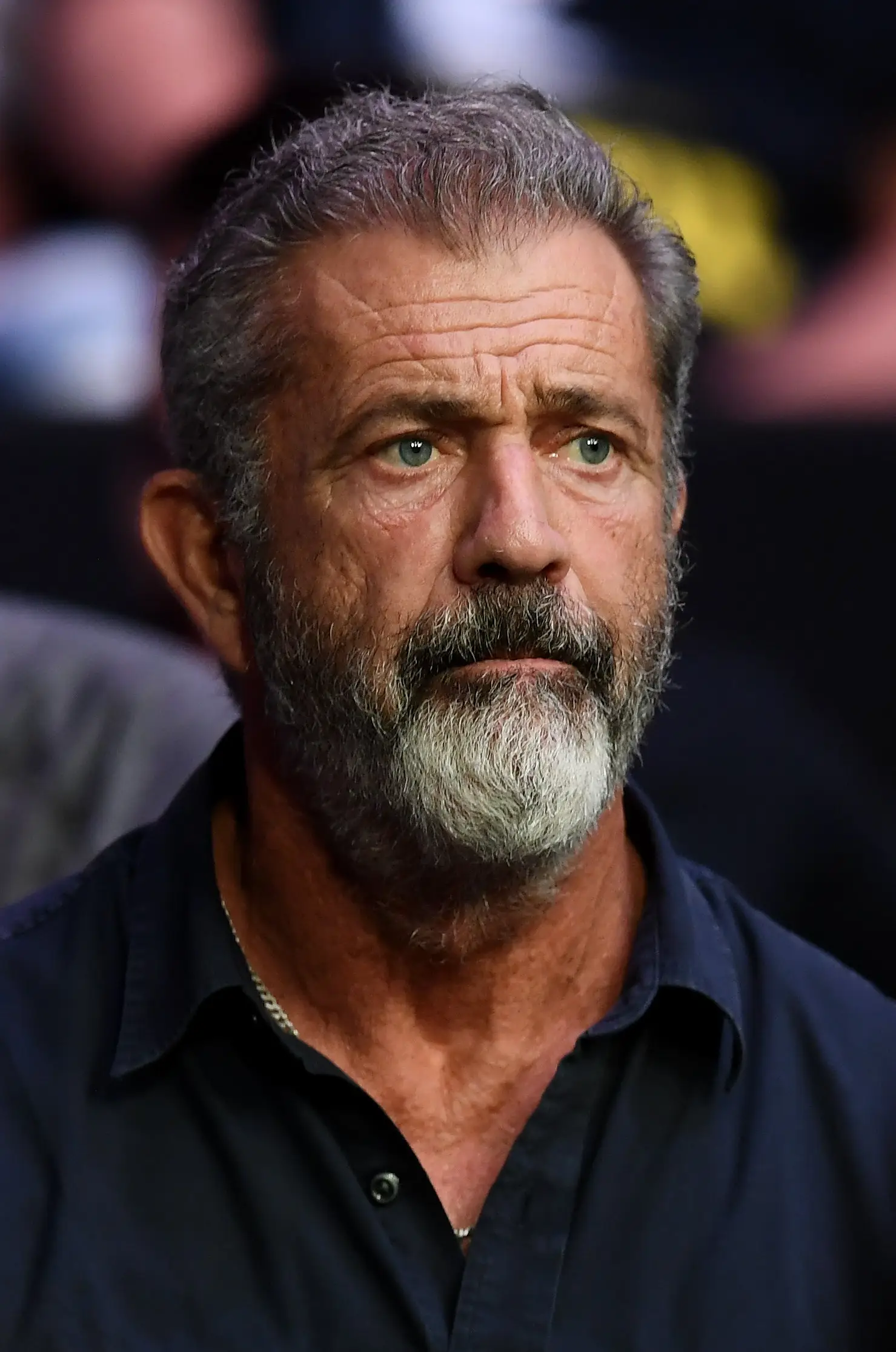 Mel Gibson was one of the A-listers who lost his home in the LA wildfires (Stephen McCarthy/Sportsfile via Getty Images)