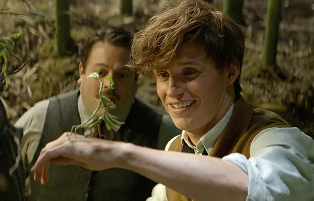 Fantastic Beasts and Where to Find Them (Warner Bros.)