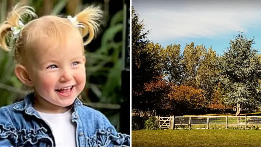 Two-year-old girl dies after being hit by car at holiday park