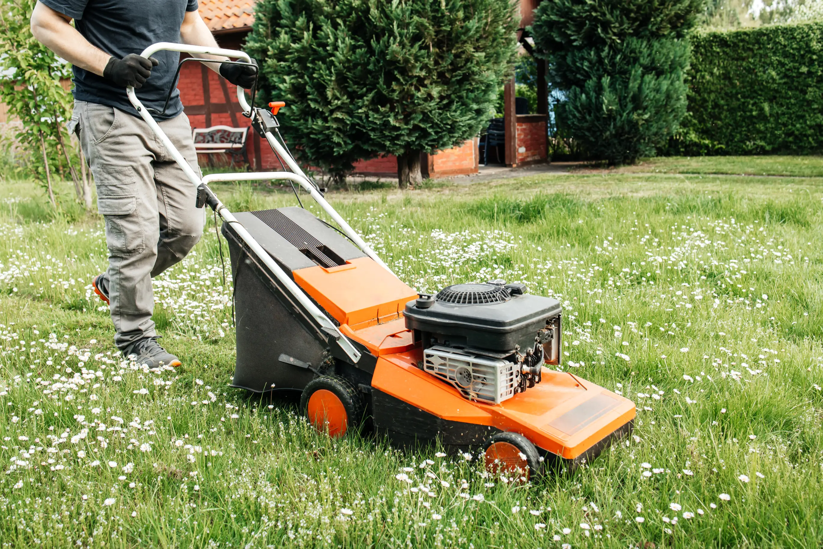 A warning has been issued over mowing the lawn, where dead animals could be harbouring the illness (Getty Stock Image)