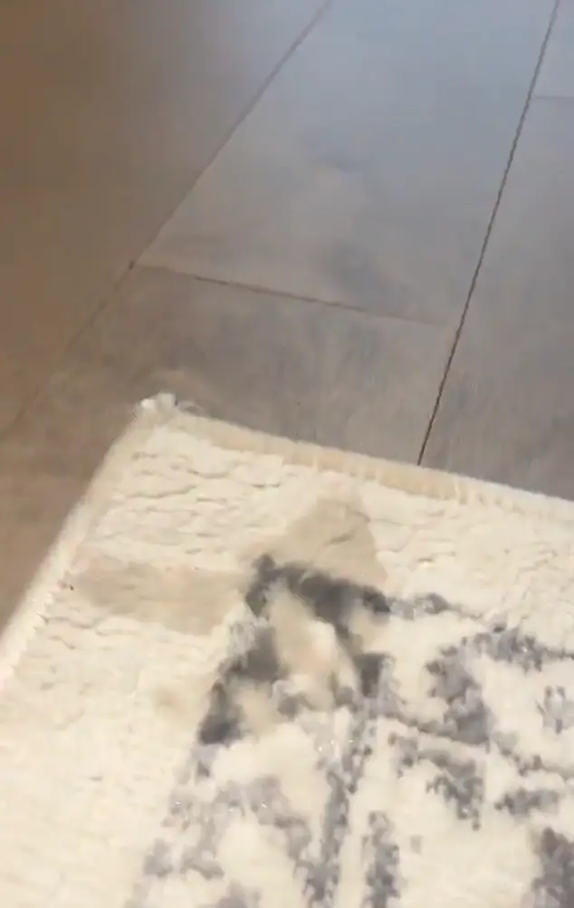 In the end, this should be your result.