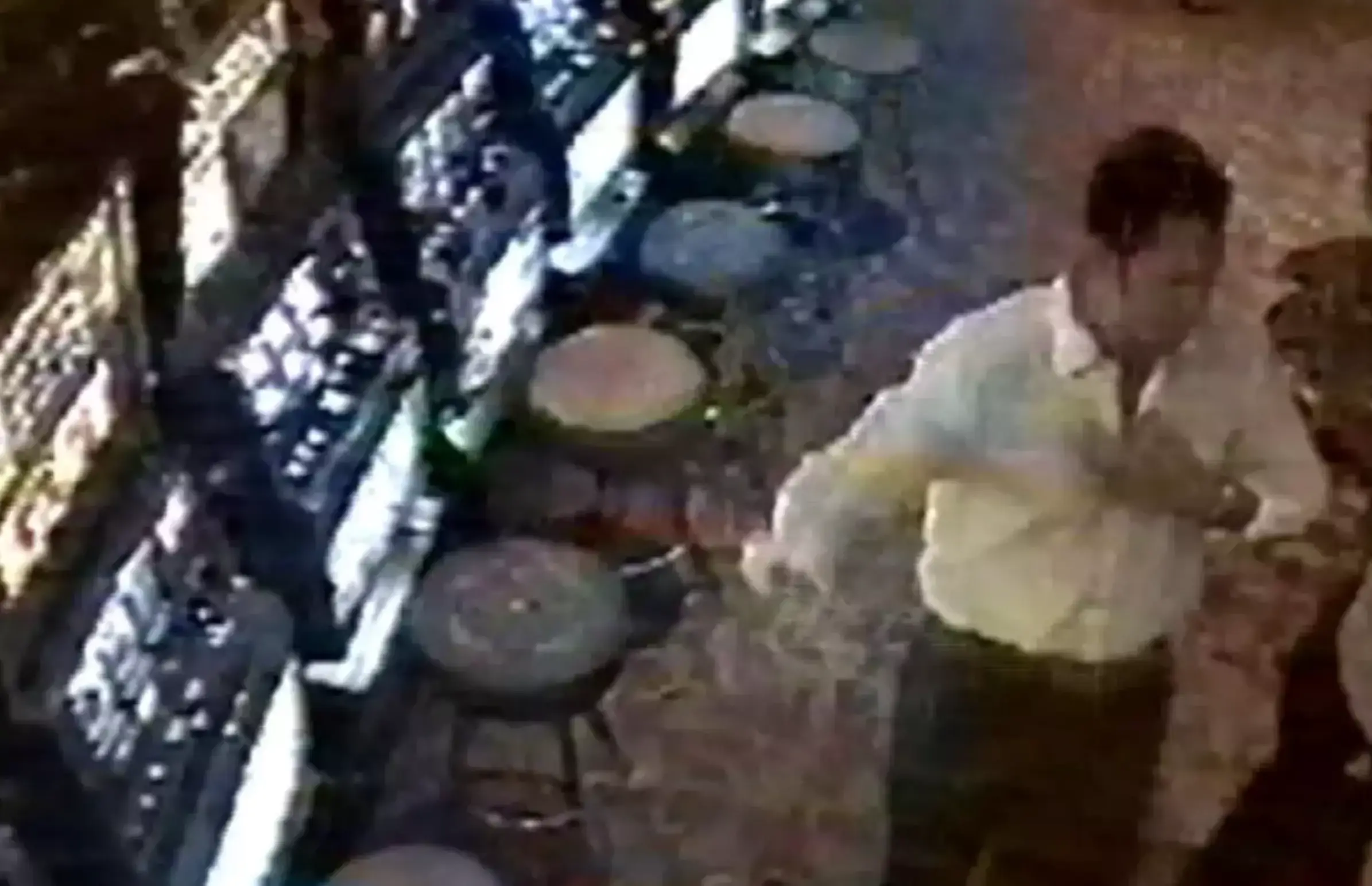 George was last seen alive on CCTV casino footage. (Royal Caribbean)