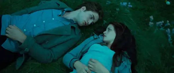They felt certain shots looked very 'Twilight-coded' (Summit Entertainment)
