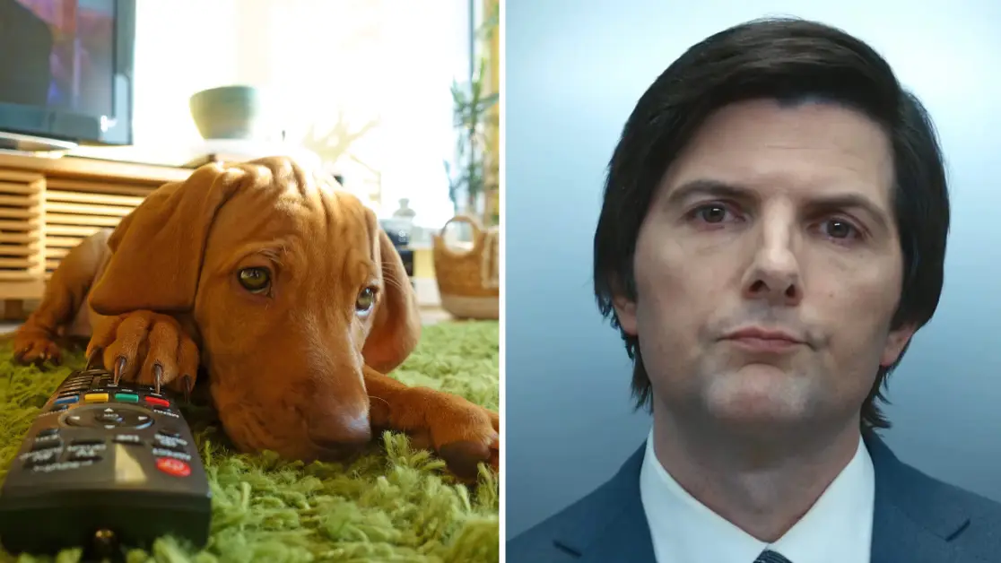 There’s a reason your dog hates you watching Severance