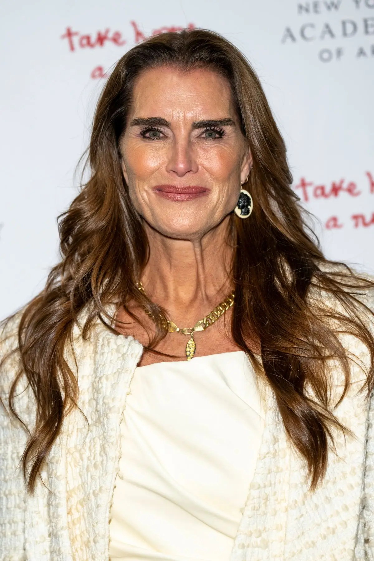 Brooke Shields has explained why she now finds sex 'painful' (Steven Ferdman/Getty Images)