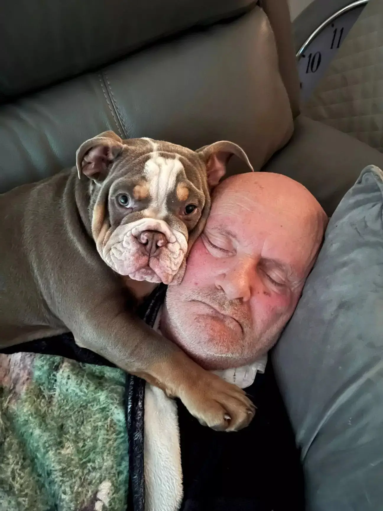 David certainly still loves Harley.