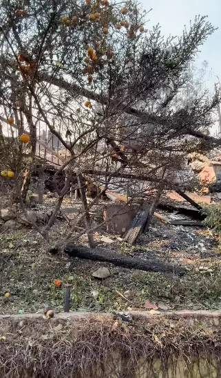 Spencer Pratt shared what was left of his home (Instagram/@spencerpratt)