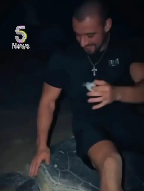 The now-deleted video shows the influencer sitting on the turtle and holding a hatchling (Channel 5)