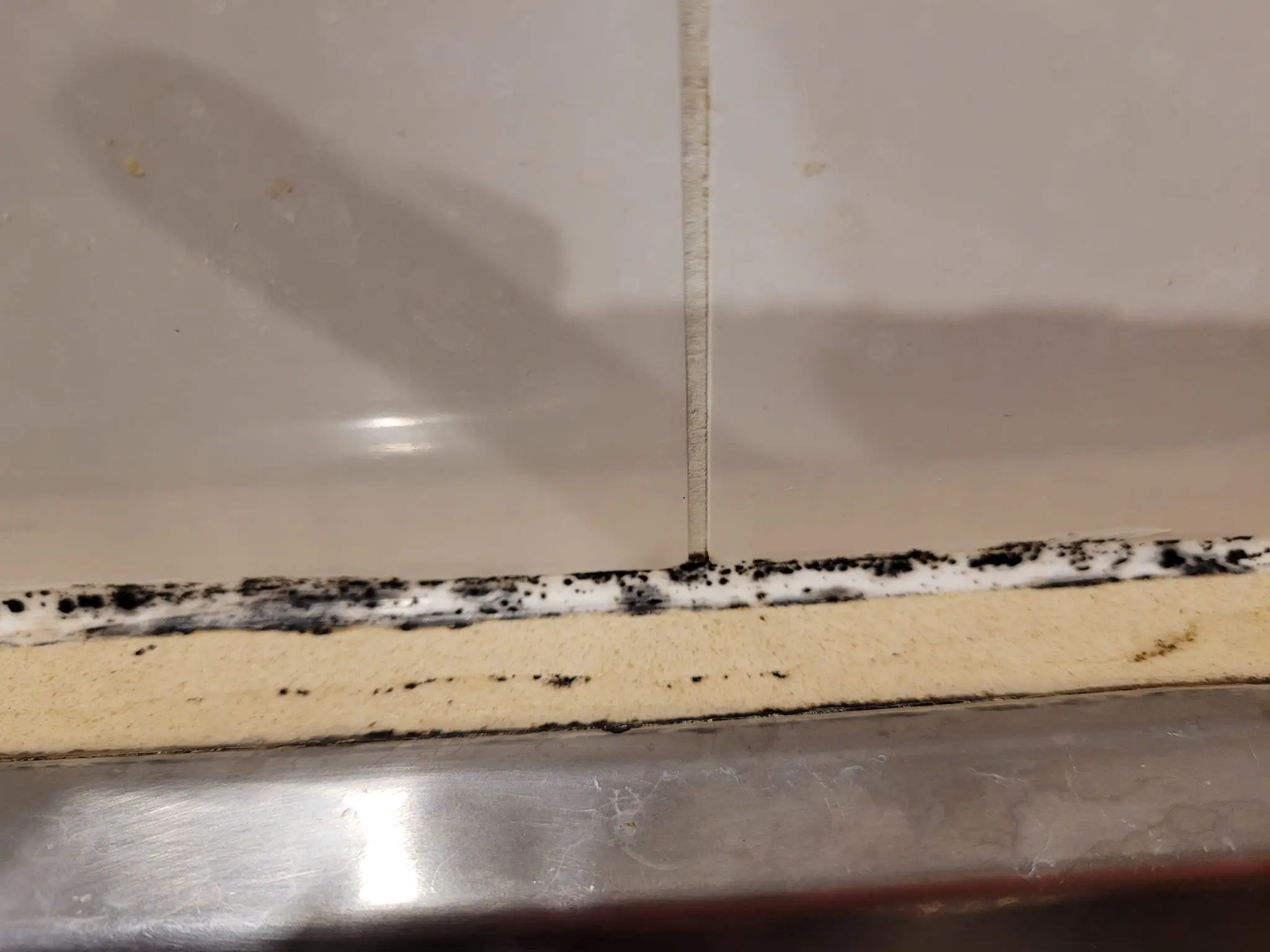 The mould before she used the spray.