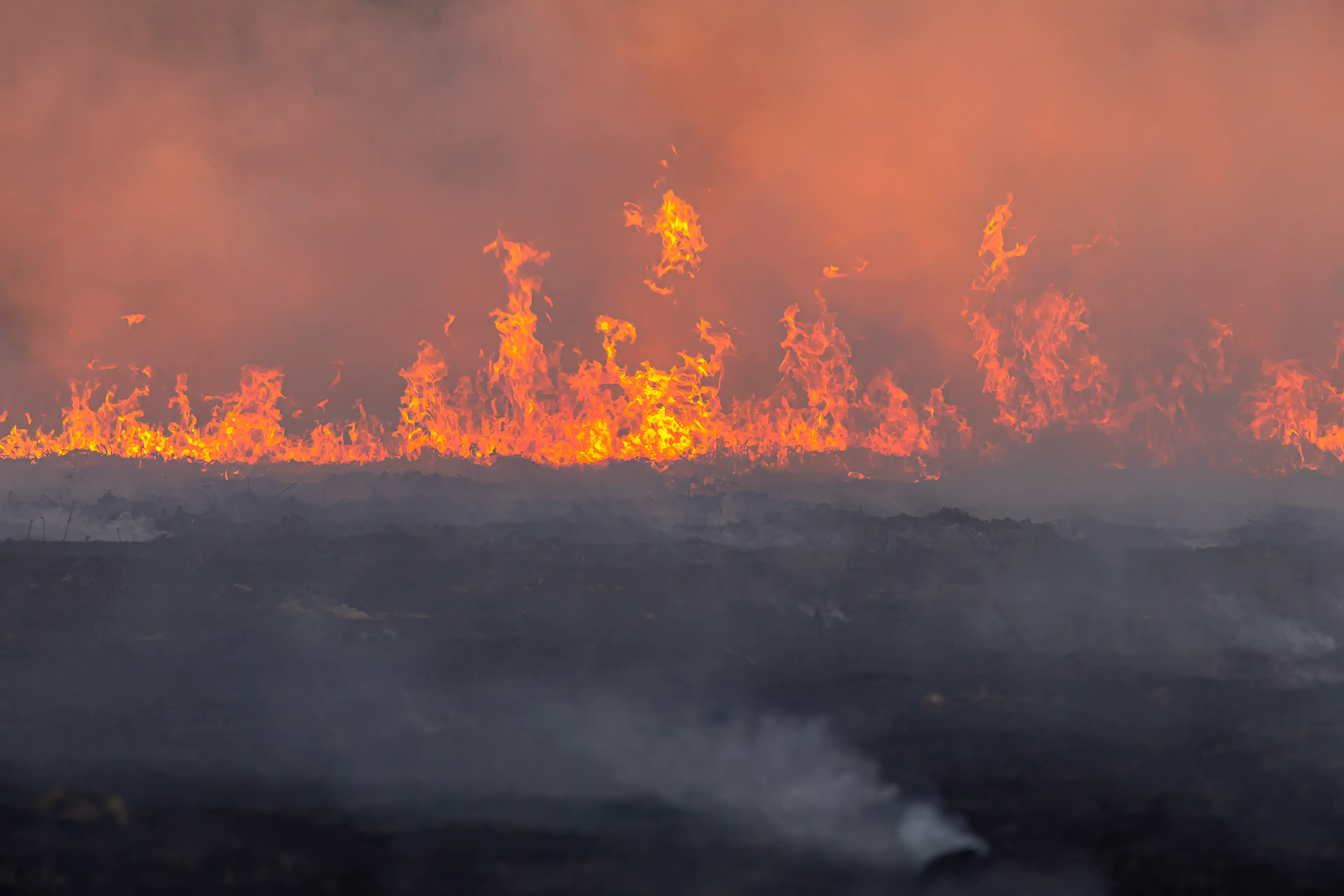Drier conditions can cause drought and wildfires (Getty Stock)