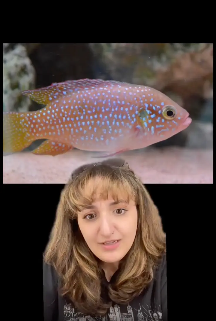 Angela sent the tattoo artist reference pictures before the session.