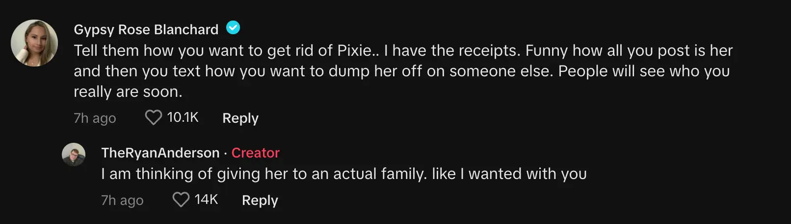 Gypsy decided to hit out at her soon to be ex-husbad on TikTok. (TikTok/@theryananderson)