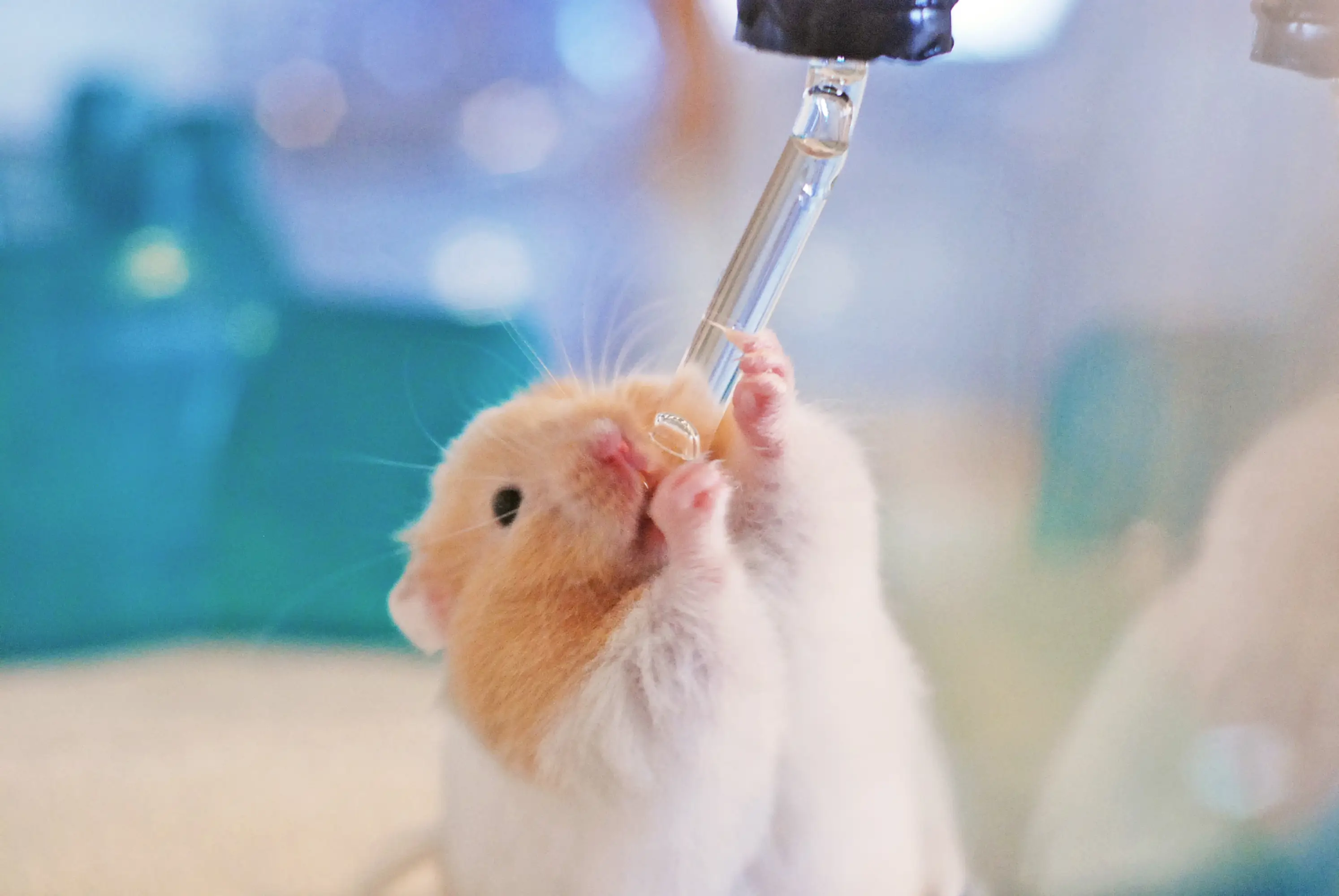 Experts warn that this sex trend isn't the most practical (Seattle Roll/Getty Images)