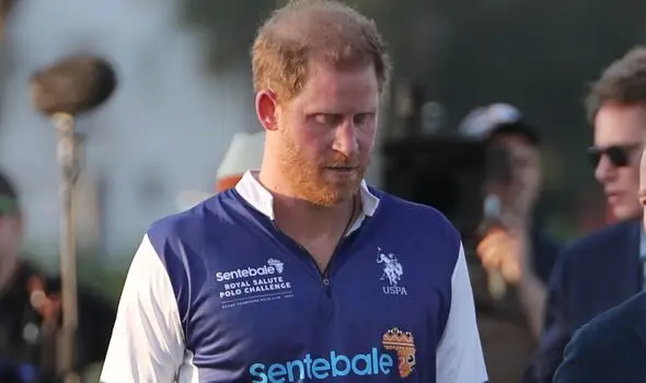 The royal family has a long history with polo (Netflix)