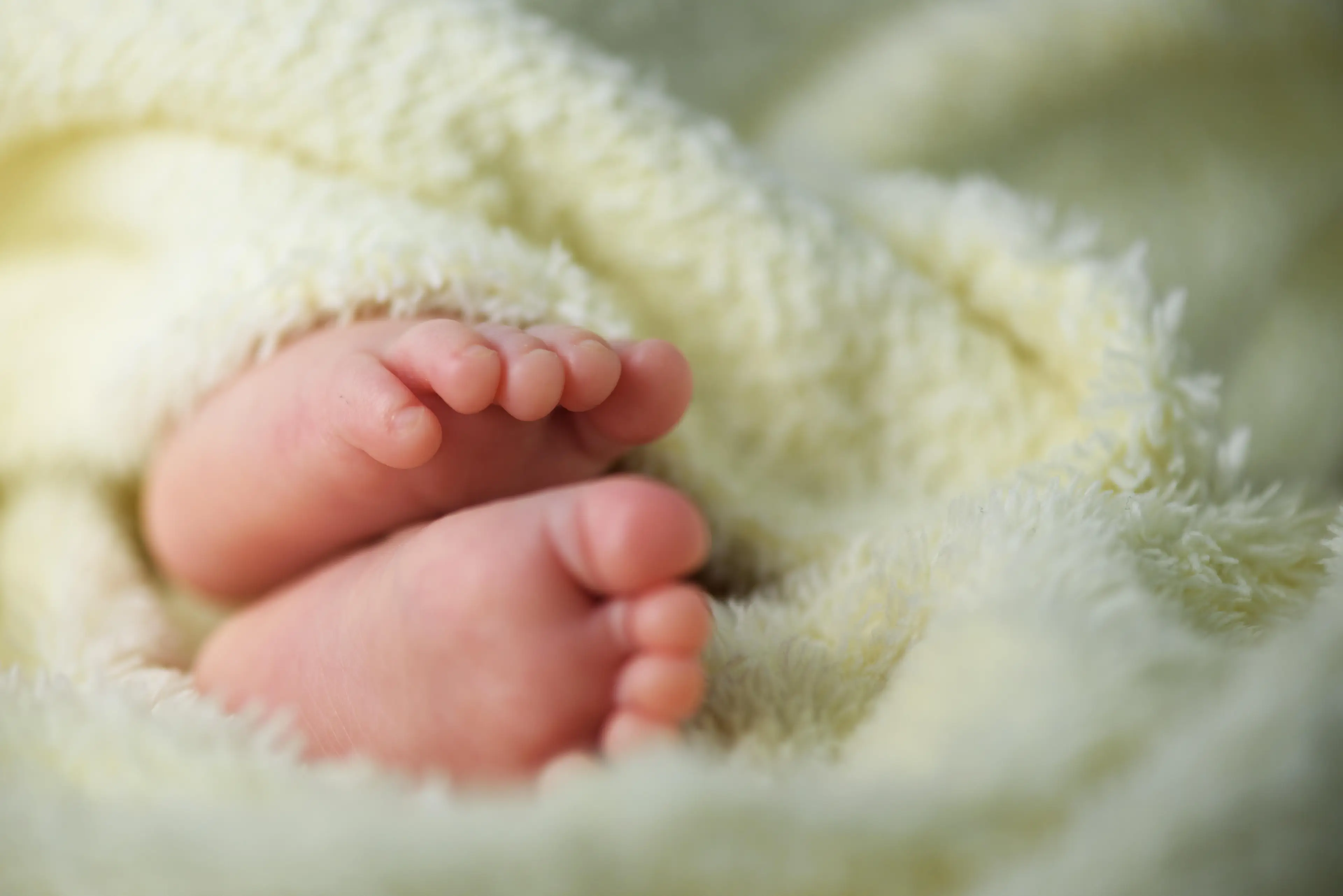The couple put their son in the shed after getting into an argument.