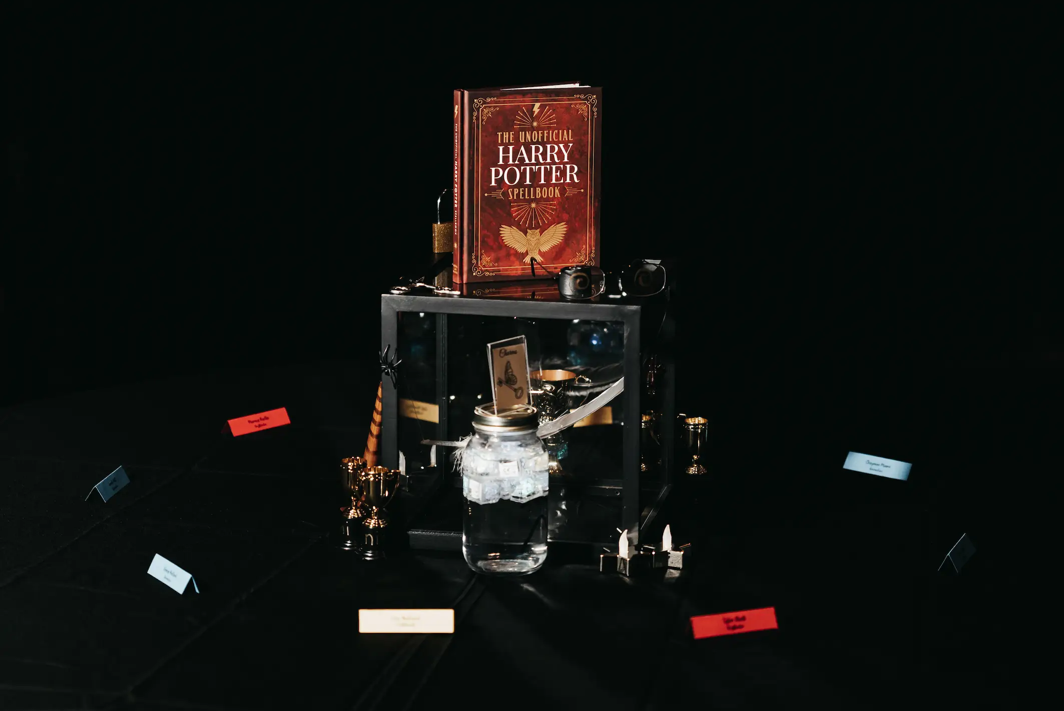 The wedding was Harry Potter-themed.