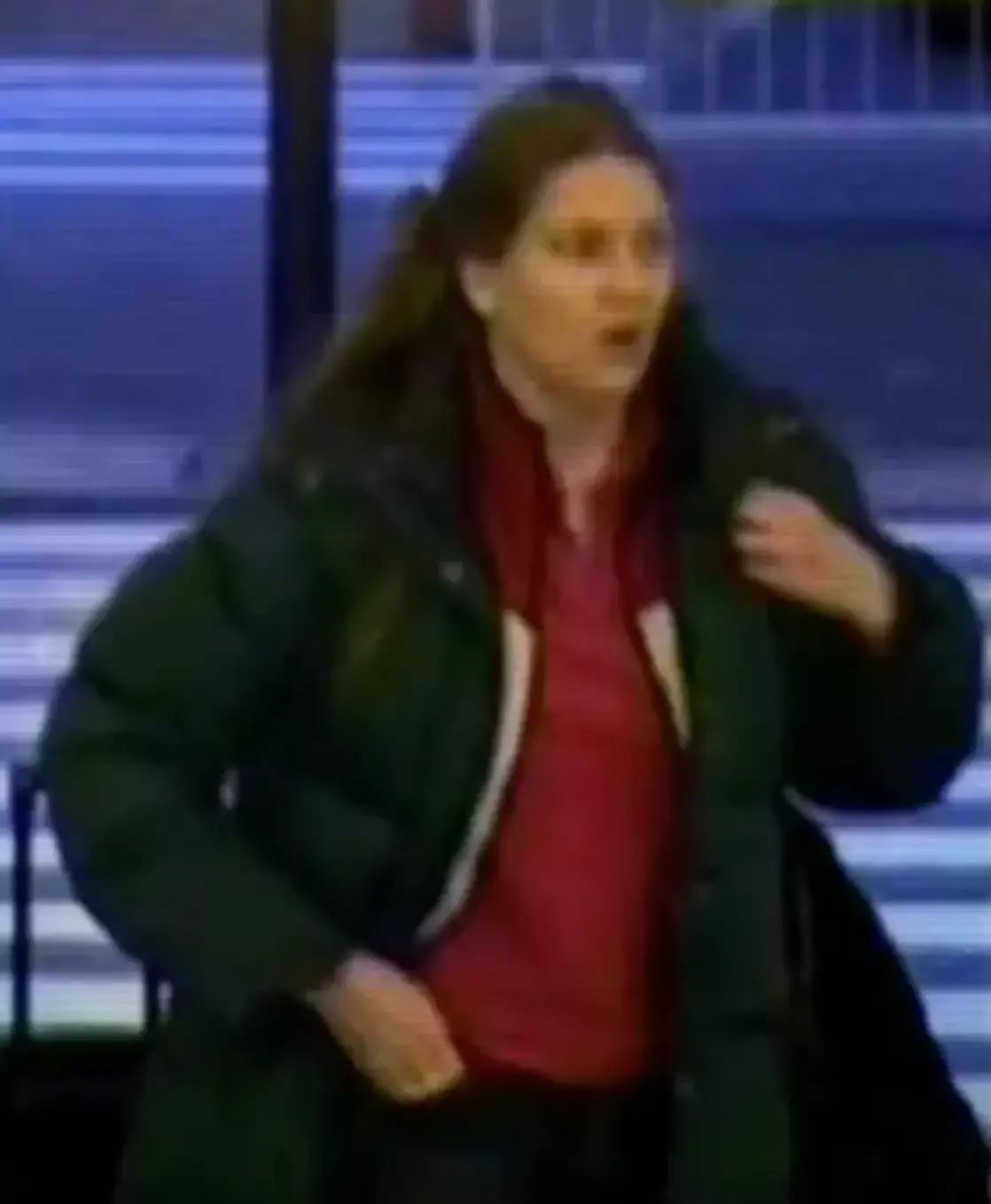 Annie Börjesson's friends and family think she was murdered (BBC)