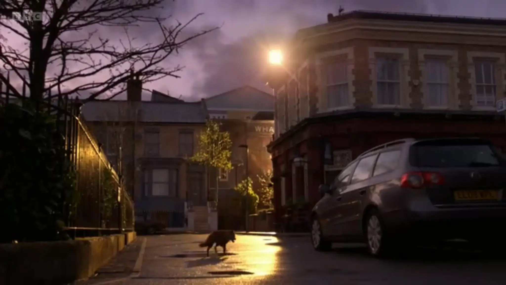 This fox sent viewers across the UK into floods of tears.