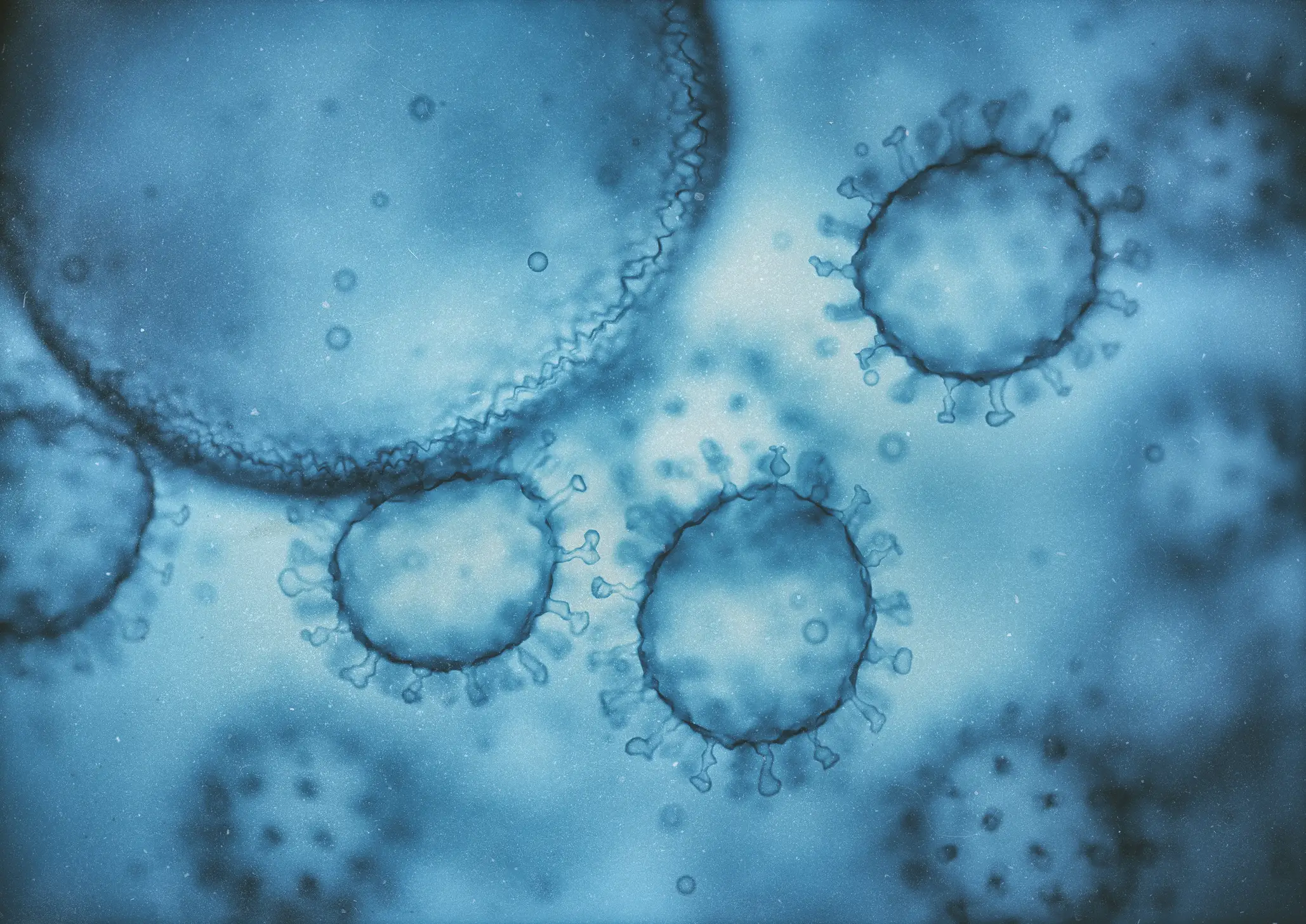 Norovirus has been causing problems for the NHS (Getty Stock Images)