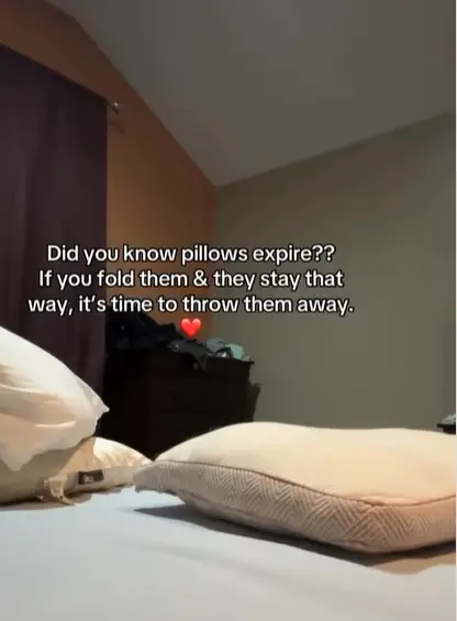 Stef Orsello posted a clip to Instagram (Instagram/@stef.orsello)