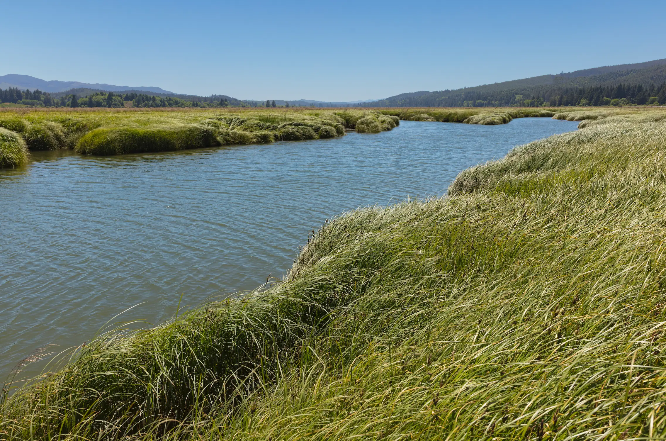 The pattern is particularly prevalent in coastal areas (Getty Stock Images)