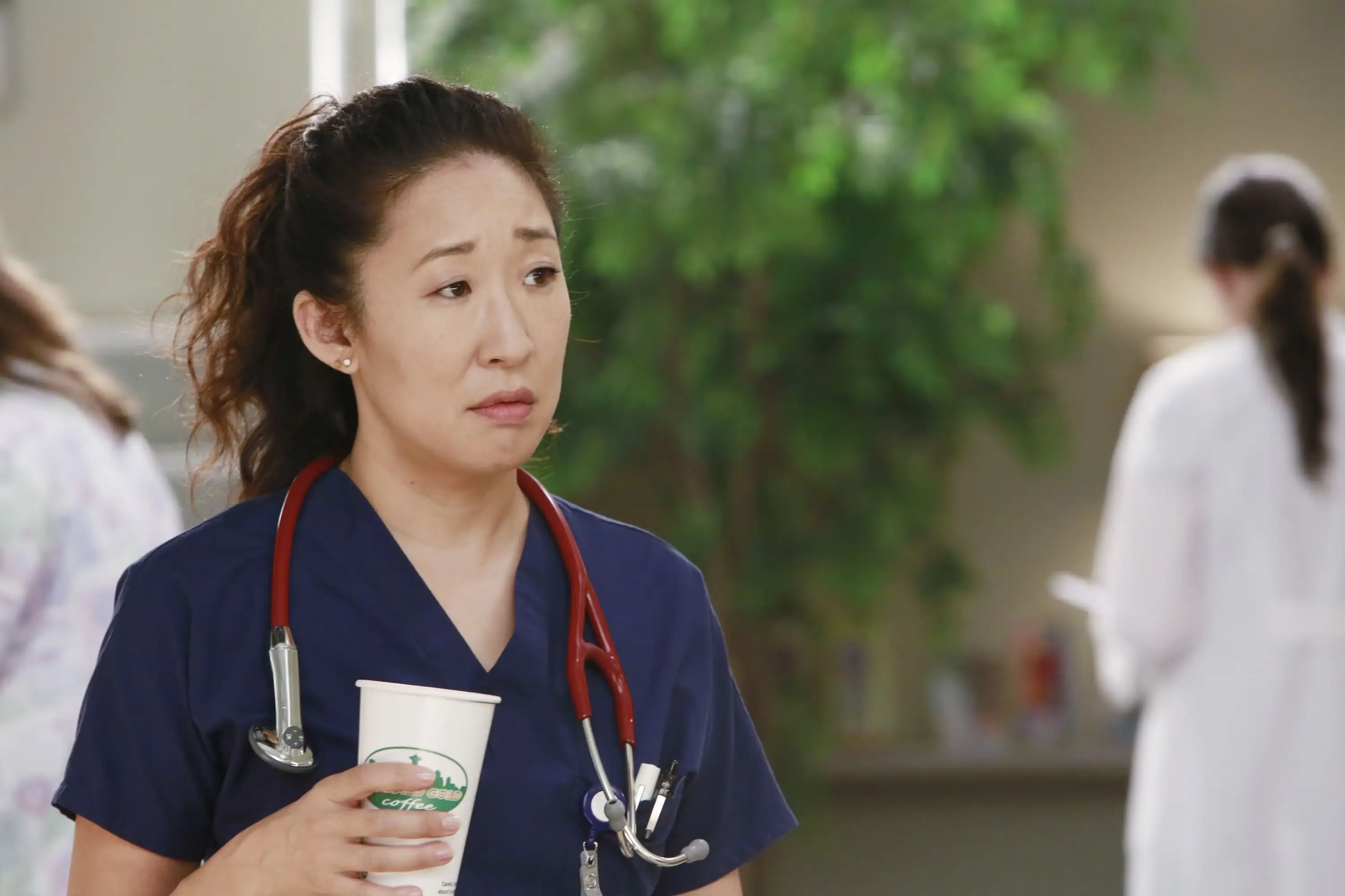 Grey's Anatomy fans have shared a brand-new theory about the show concerning Dr Christina Yang's character (ABC)