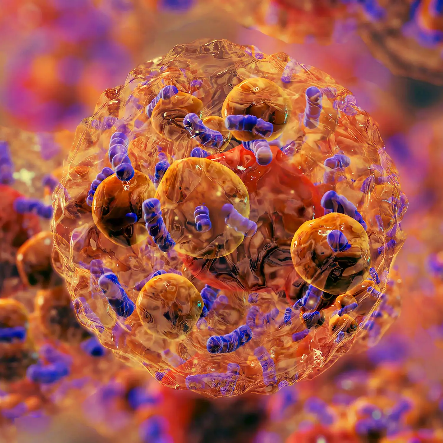 The body has three types of fat, including brown fat (Getty Stock Image)