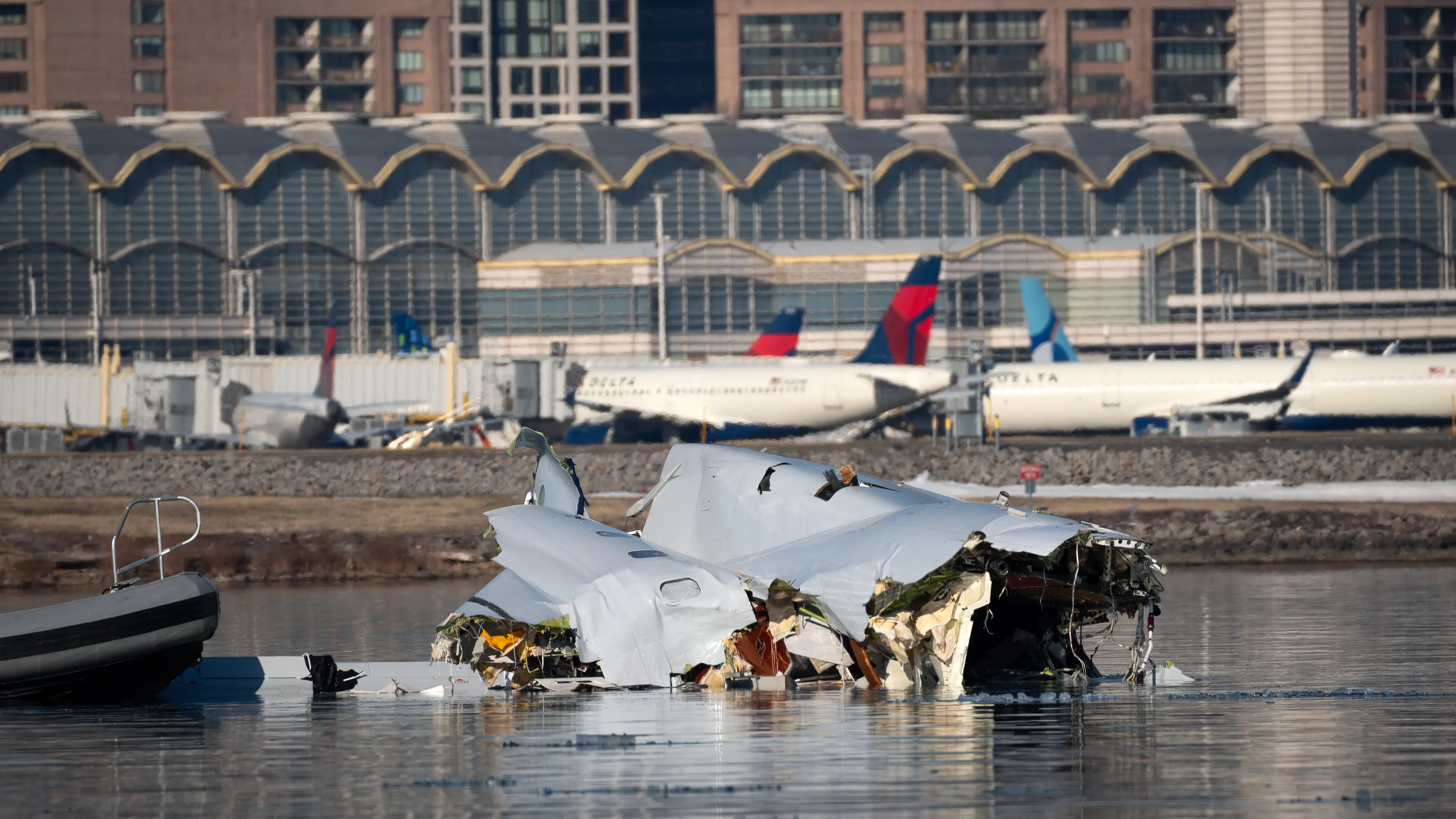 Major detail revealed about American Airlines plane crash that killed 67 people as new data released