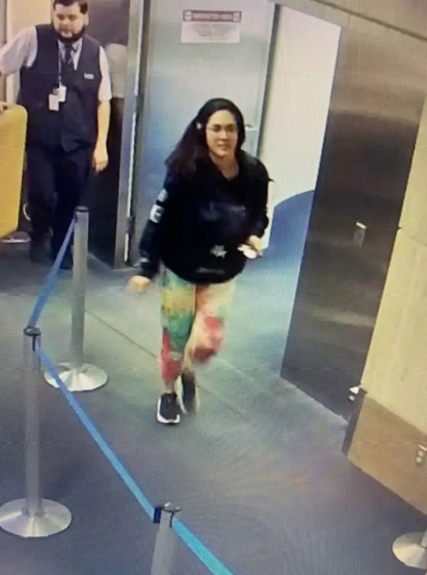 Hannah Kobayashi made headlines around the world when she vanished in November (Sydni Kobayashi/Facebook)