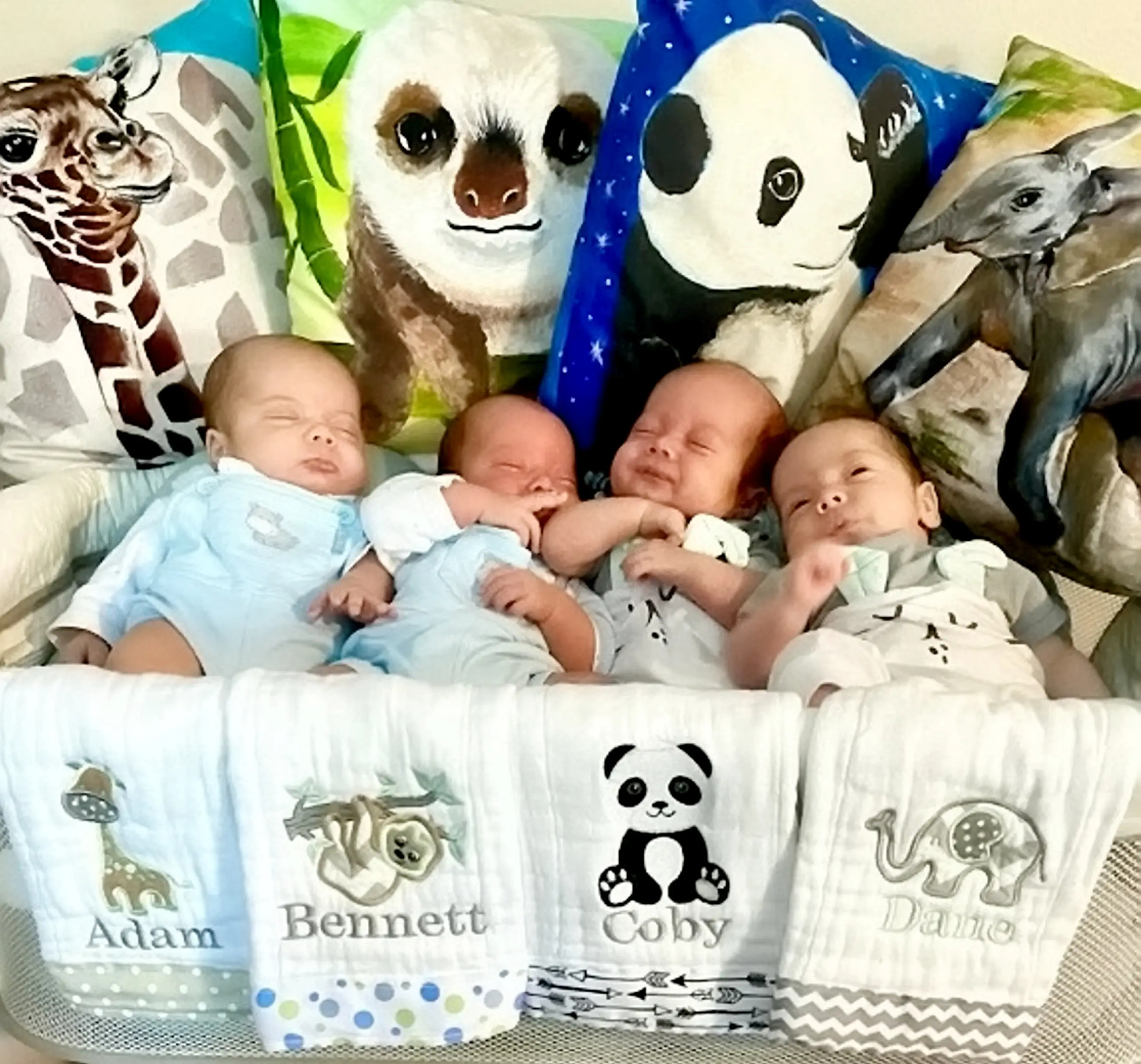 Gaby and Brian wanted to add one final baby to their family but got a big surprise.