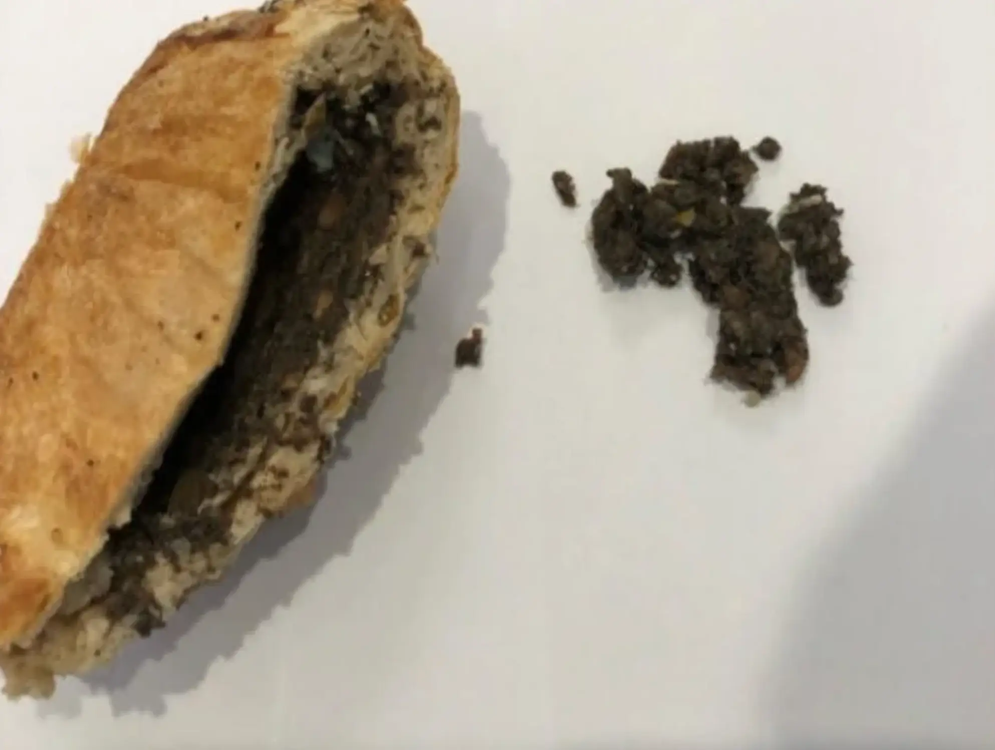 The deadly mushrooms can be seen finely chopped up (Supreme Court of Victoria)