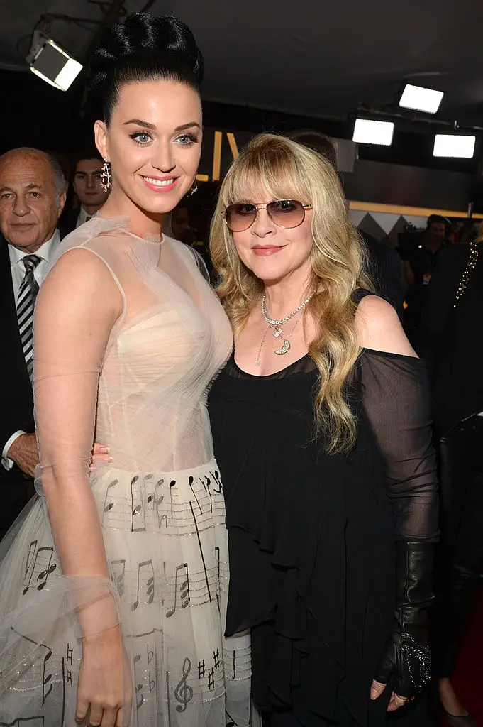 Stevie Nicks has opened up about a chat she had with Katy Perry about a decade back (Lester Cohen / Contributor / Getty Images)