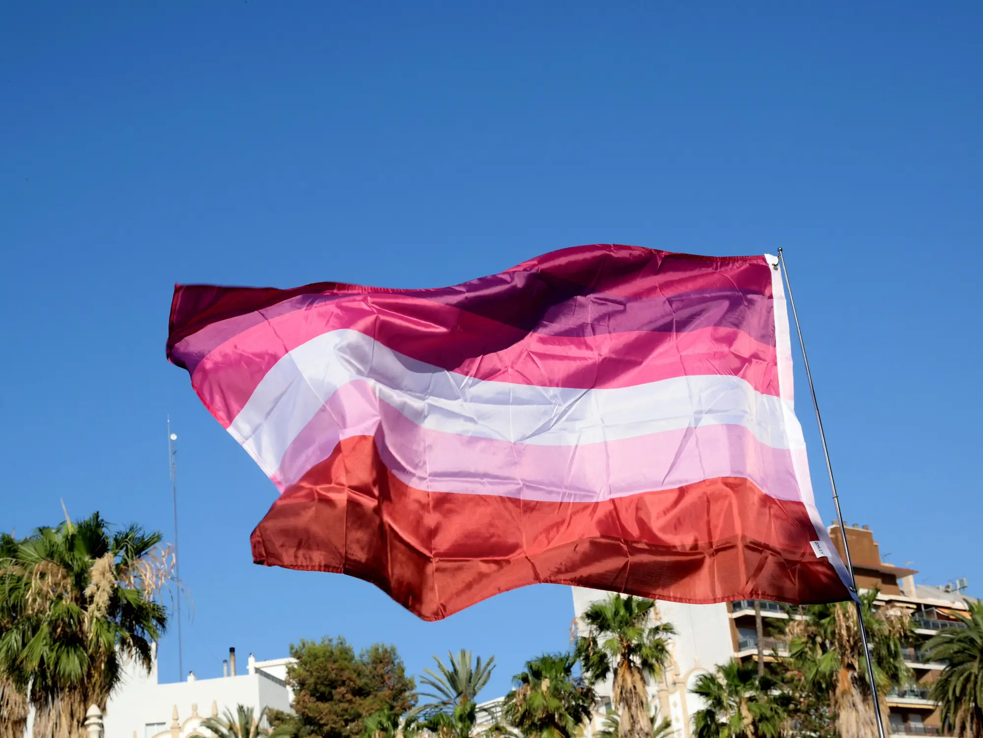 He/him lesbians have a rich history within the community (Miguel Sotomayor/Getty stock photo)