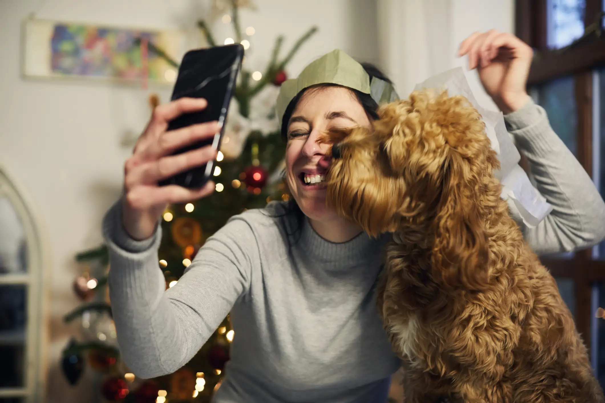 Stick to puppy selfies (Getty Stock Image)