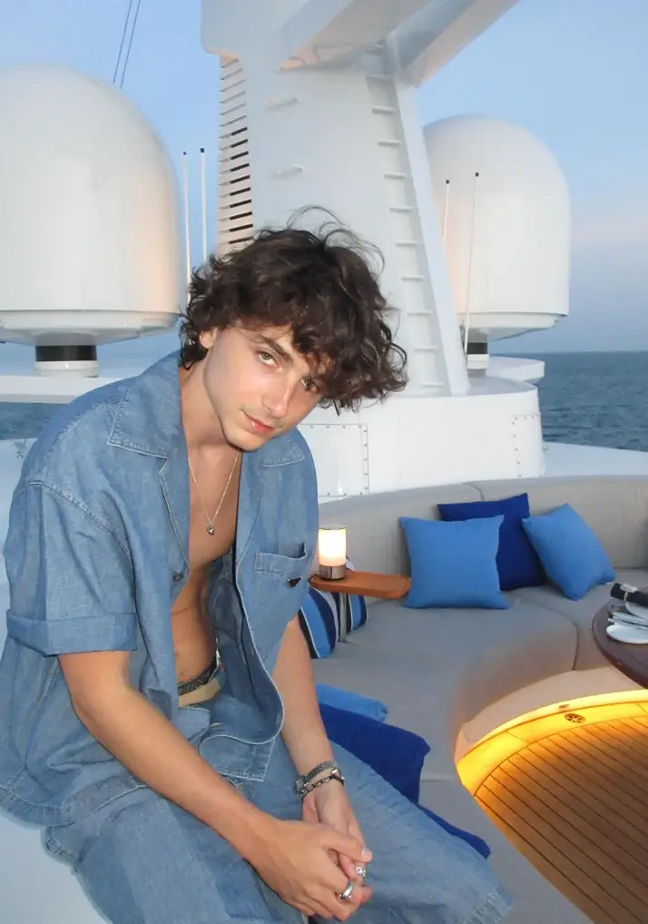 The hair-heavy pics have sparked a new theory (Instagram/@timotheechalamet)