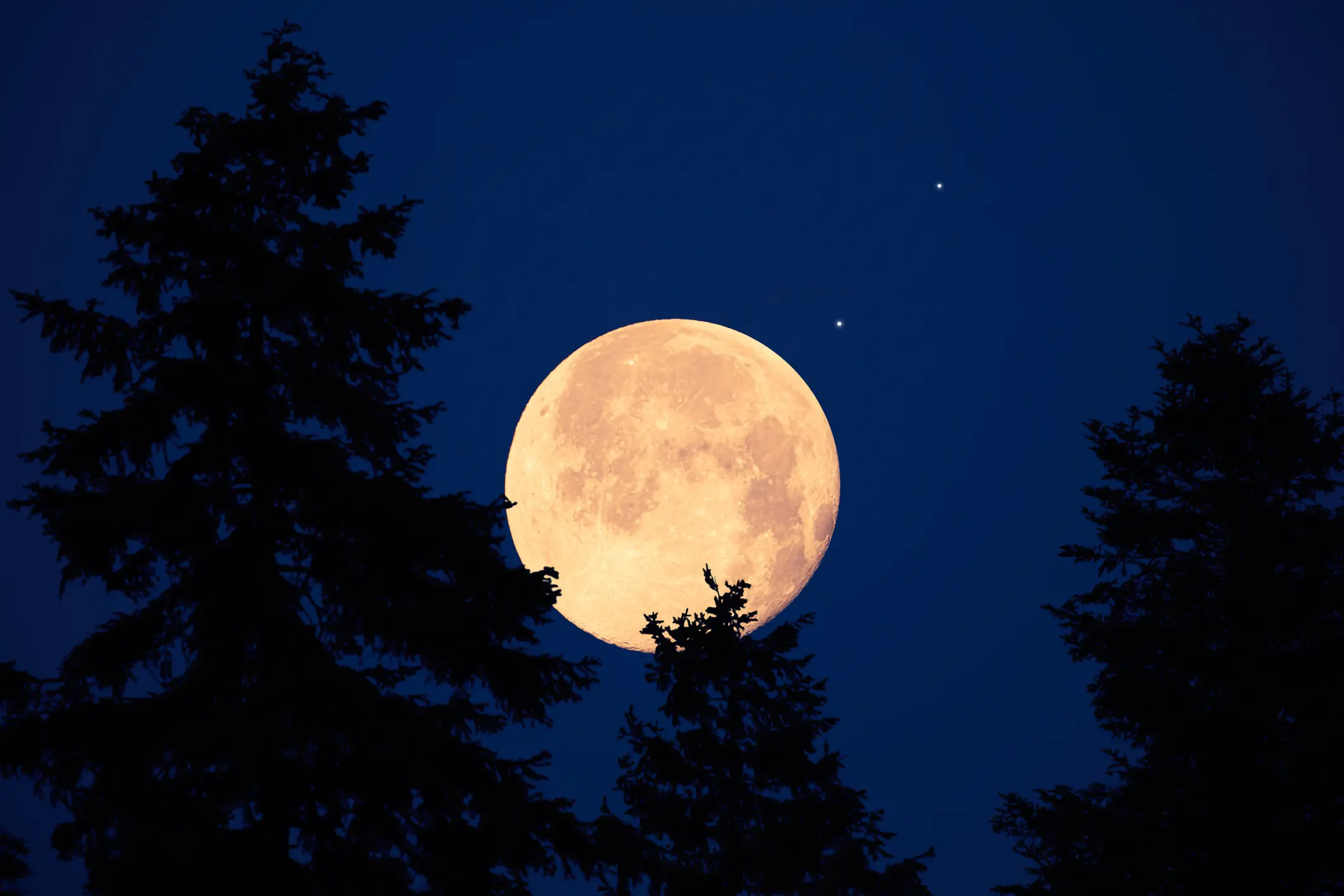 Aries, Cancer, Libra and Capricorn will feel the effects of this week's Harvest Moon the most (Getty Stock Images)
