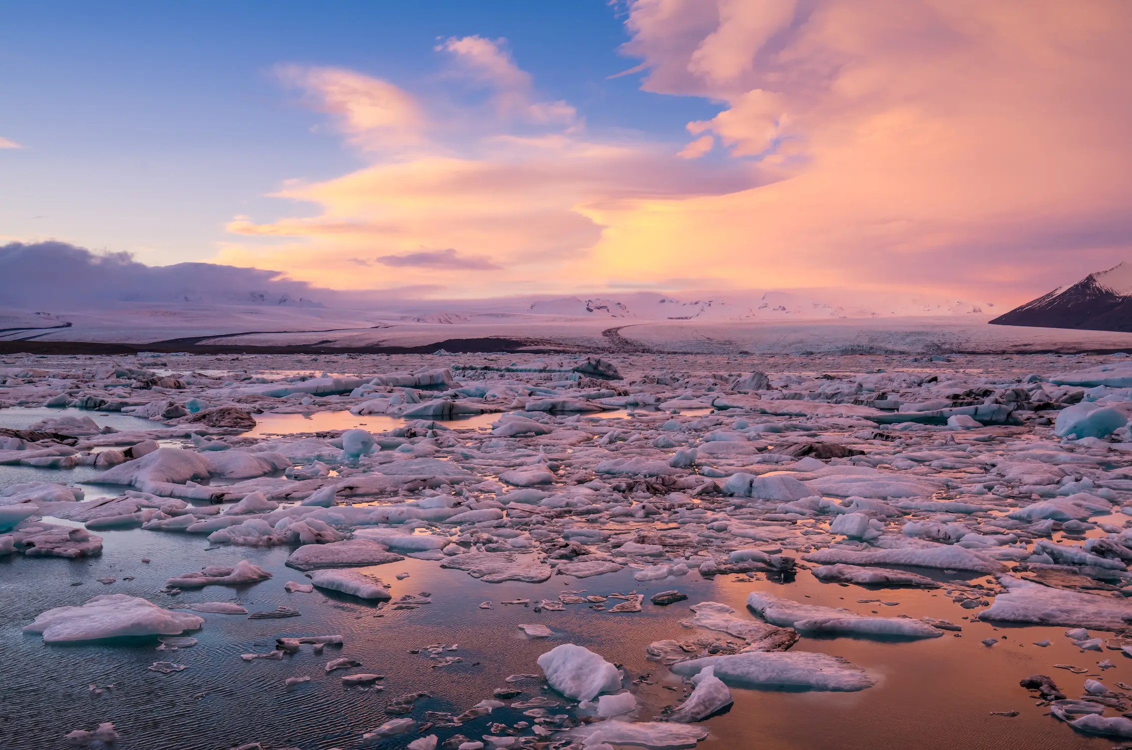 Vanga predicted a major climate crisis (Getty Stock Image)