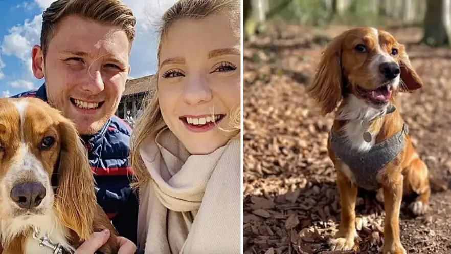 Solent News & Photo Agency