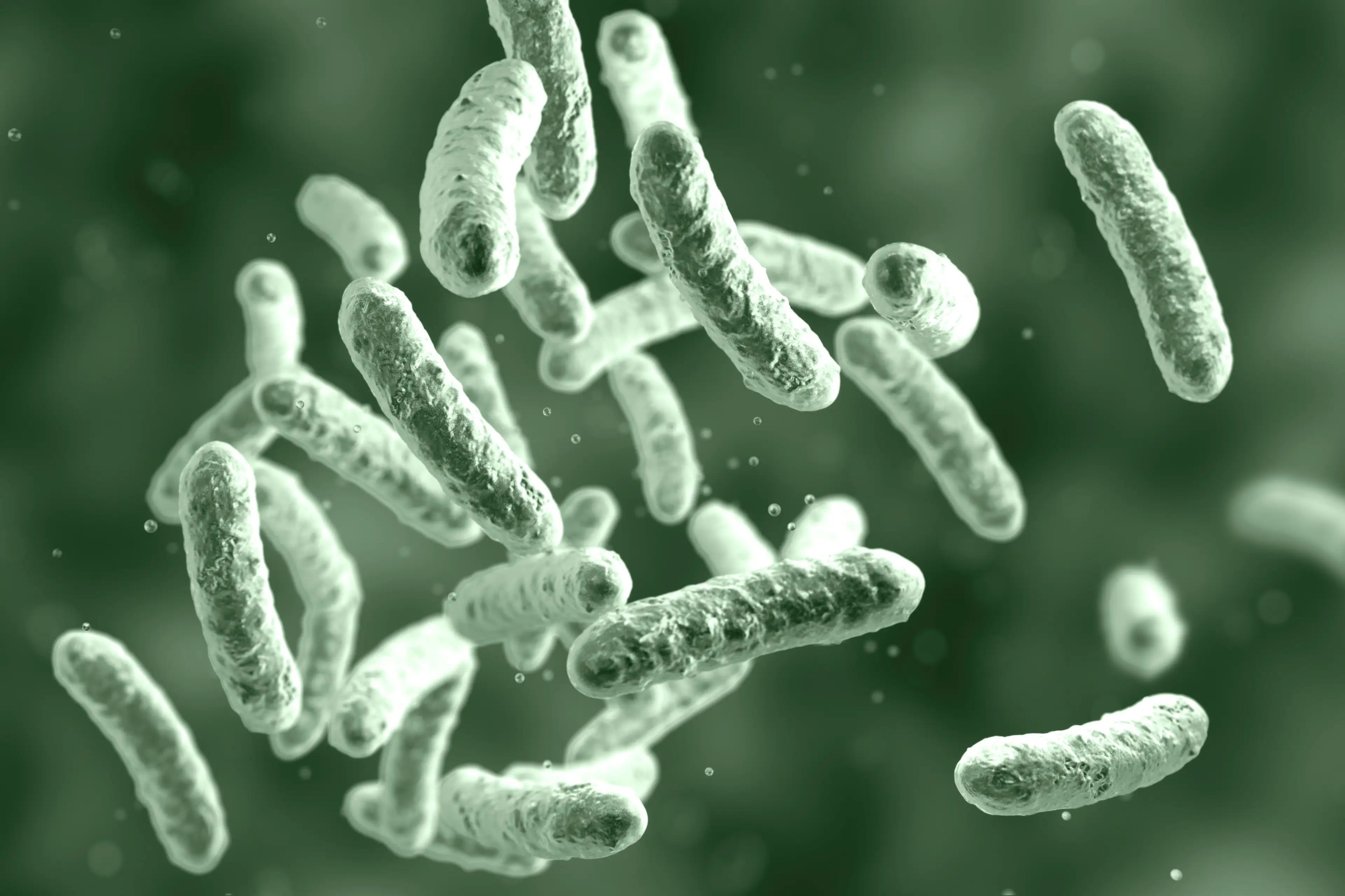 Shigella is caused by a group of highly contagious bacteria that cause an intestinal infection (Getty Stock Image)