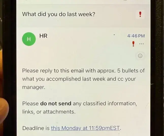 Musk sent out an email to several members of government staff (X)
