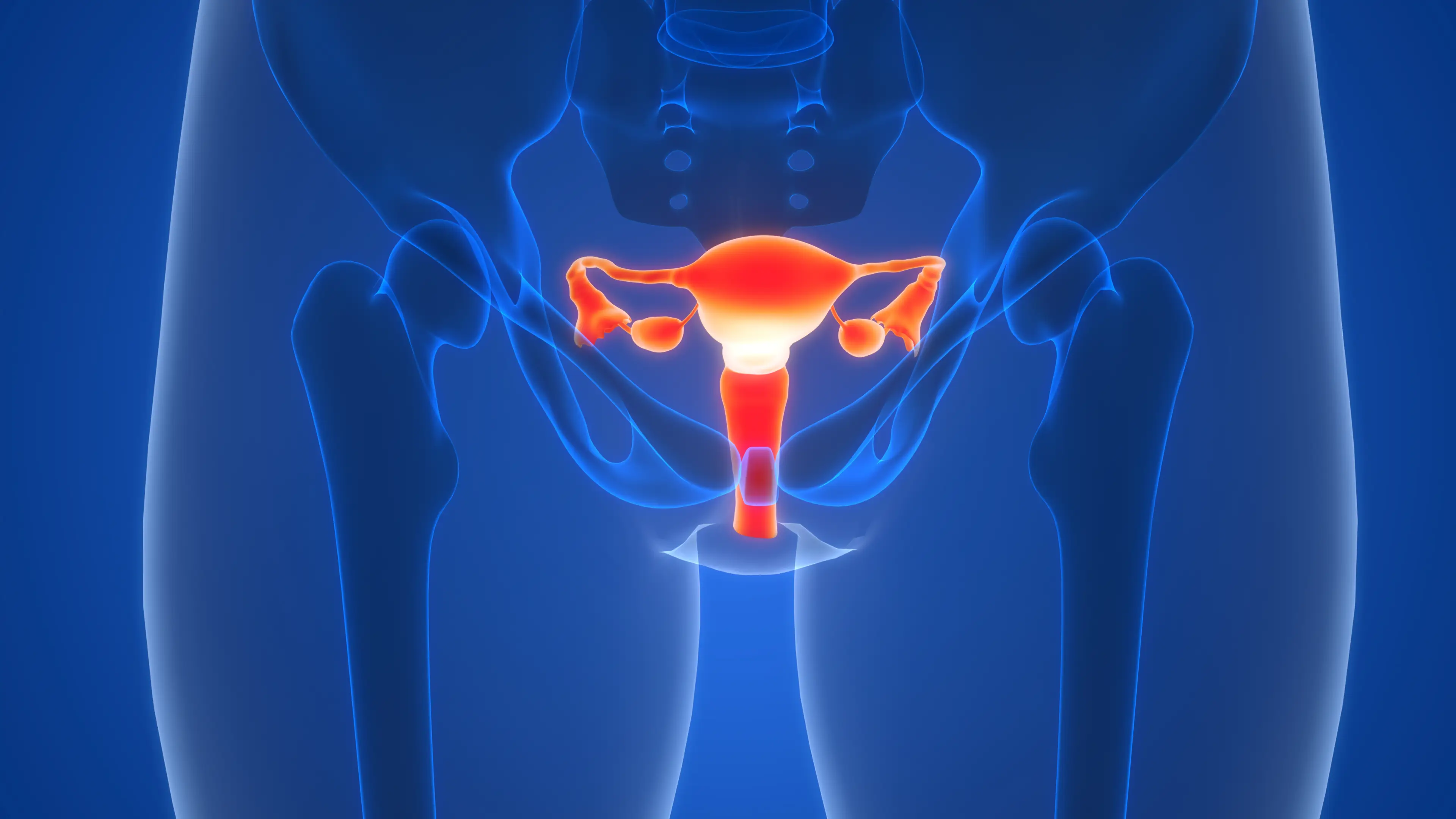 Susan Golden said she has 'never known about a support group for vulvar cancer' (Getty Stock Image)