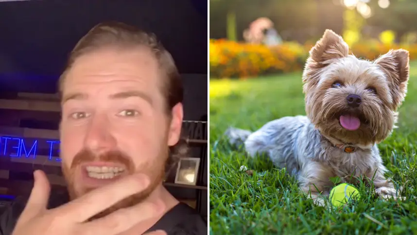 TikTok/@dr.hunterfinn