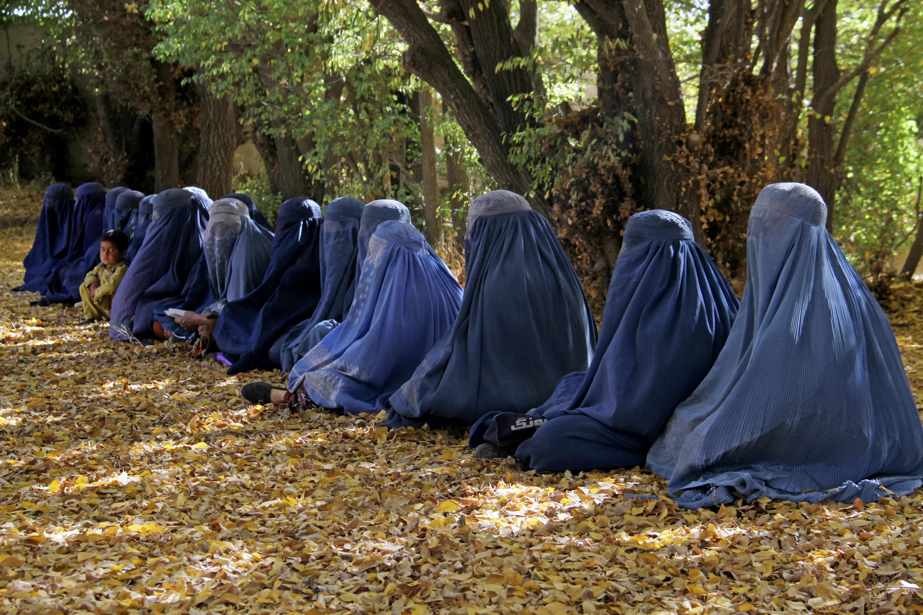 It has been half a decade since the Taliban takeover of Afghanistan in August 2021 (MOHAMMAD FAISAL NAWEED/AFP via Getty Images)
