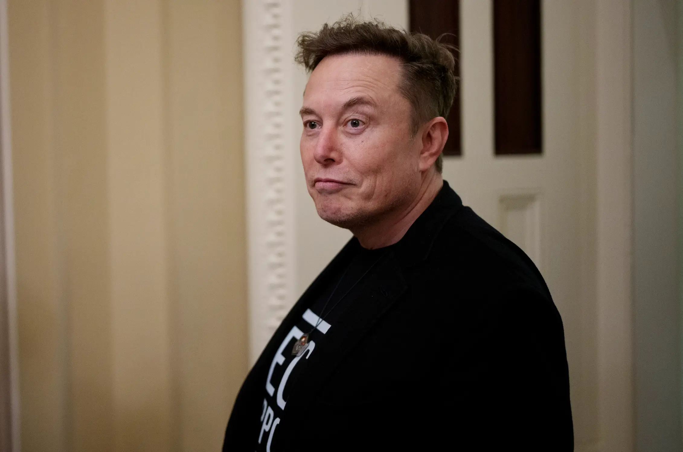 Elon Musk is estranged from his transgender daughter (Andrew Harnik/Getty Images)