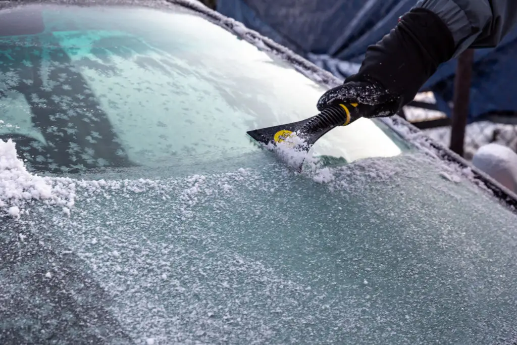 Pet owners have been warned over using antifreeze this winter (SOPA Images / Contributor / Getty Images)