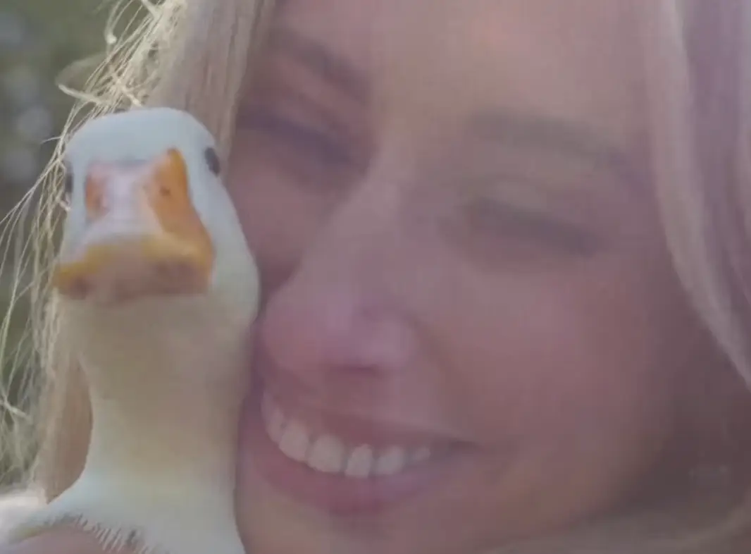 Stacey Solomon and her husband, Joe Swash, have just announced a new six-part reality TV series (BBC)