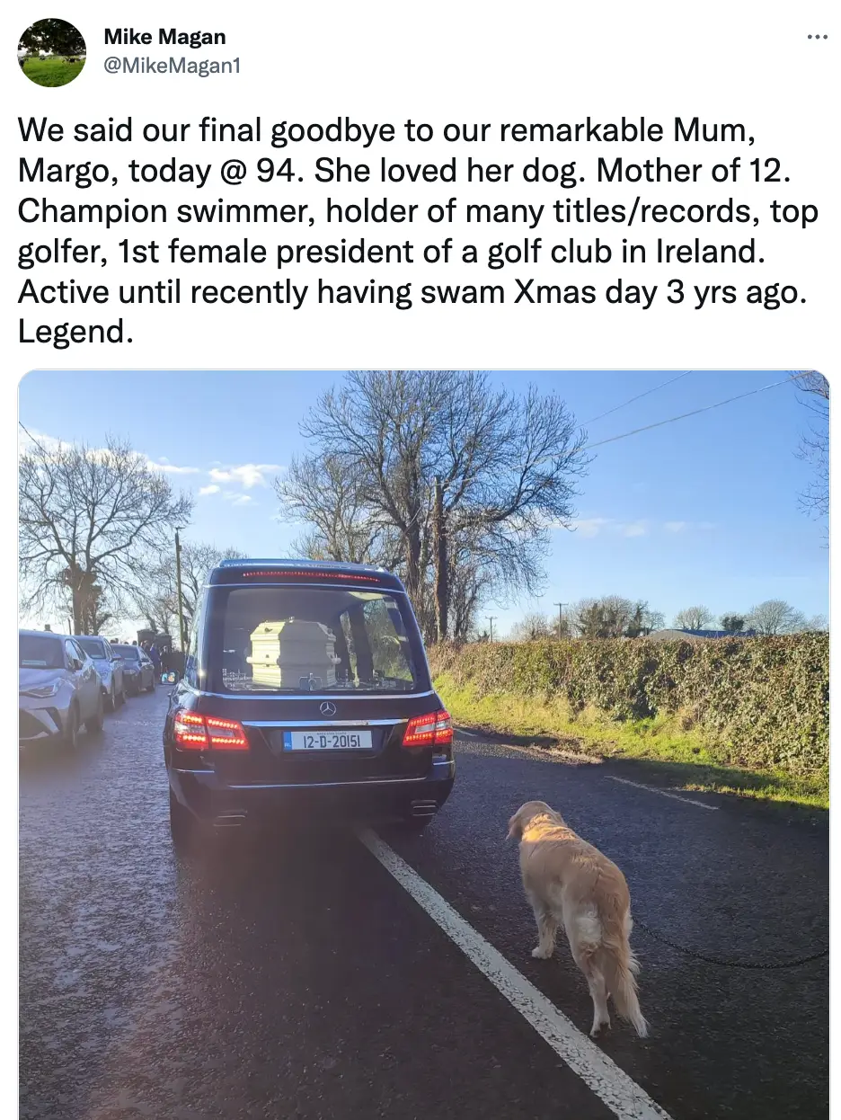 The dog was pictured following her owner's hearse.