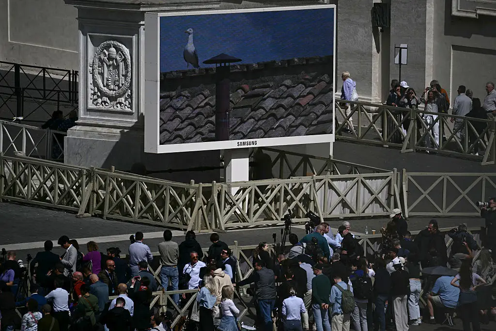 A seagull has stolen the show at the Vatican (FILIPPO MONTEFORTE / Contributor / Getty Images)